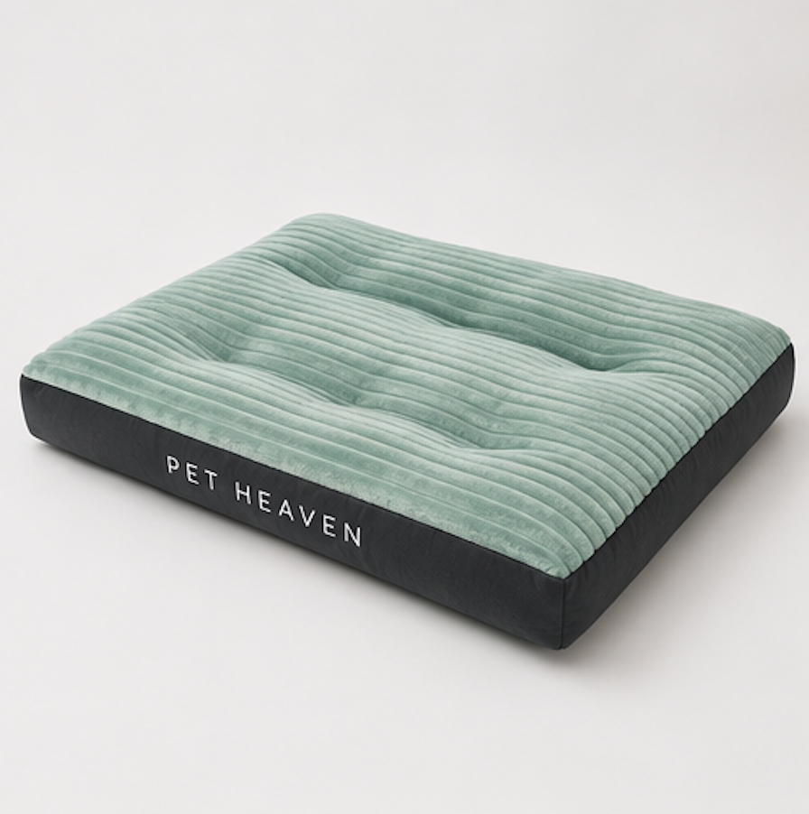 Pet Comfort Bundle – Cosy Beds & Sleep Essentials for Dogs & Cats