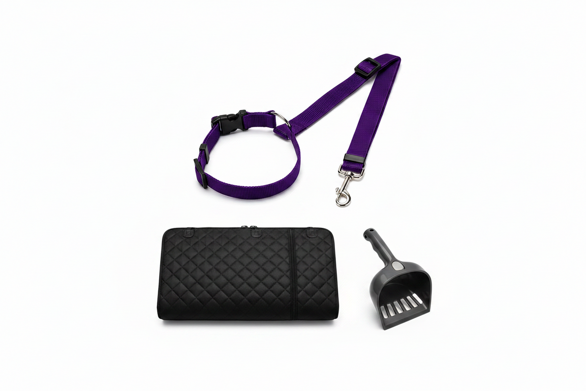 Dog Adventure Bundle – Travel Essentials Kit for Active Dogs & Owners